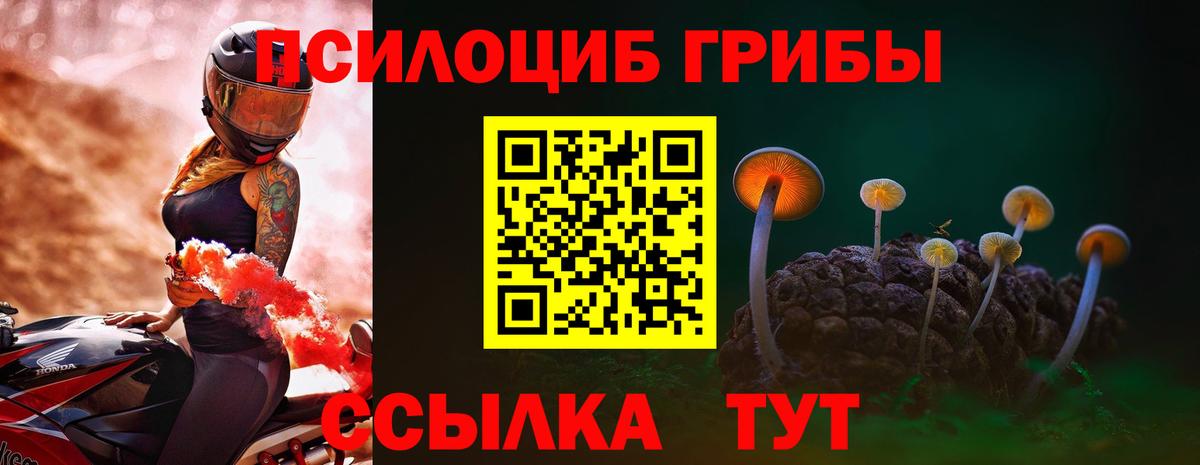 Галлюциногенные грибы прущие грибы Жуковский